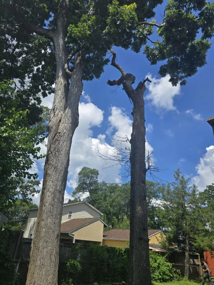 Trusted garden landscaping with custom design across Annapolis, MD - JV Landscape And Tree Services