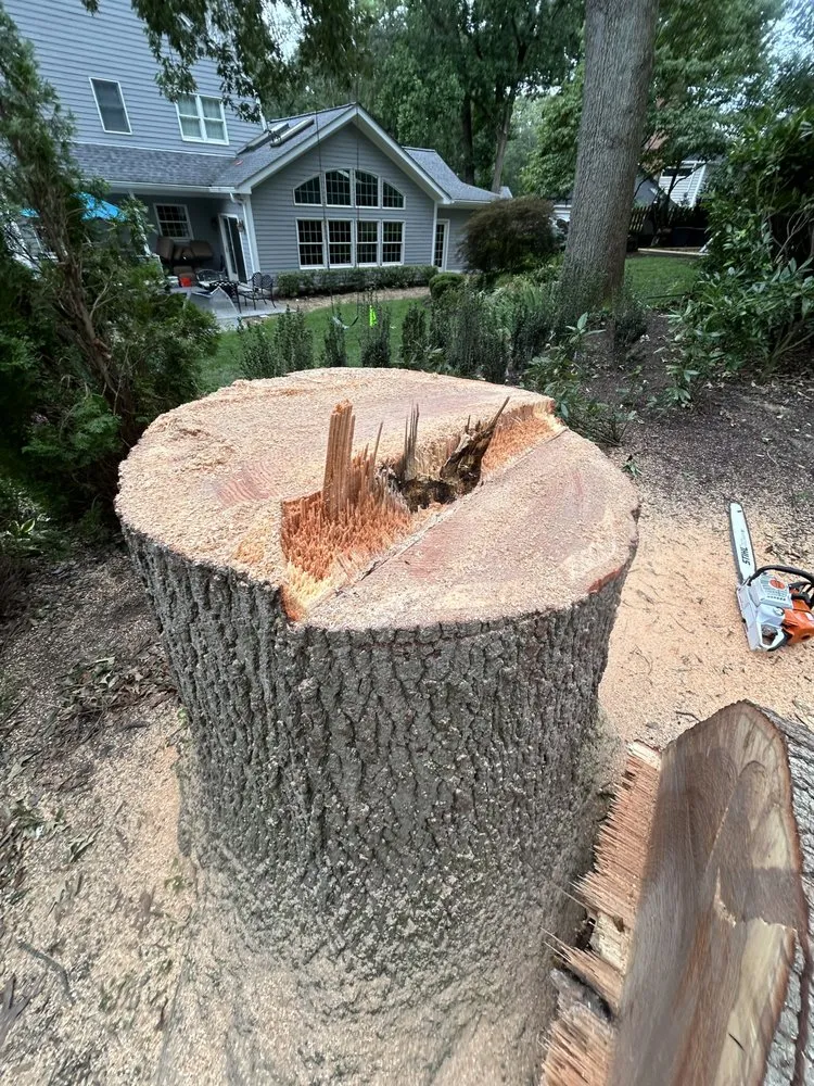 Professional landscaping services for residential properties in Annapolis, MD by JV Landscape And Tree Services