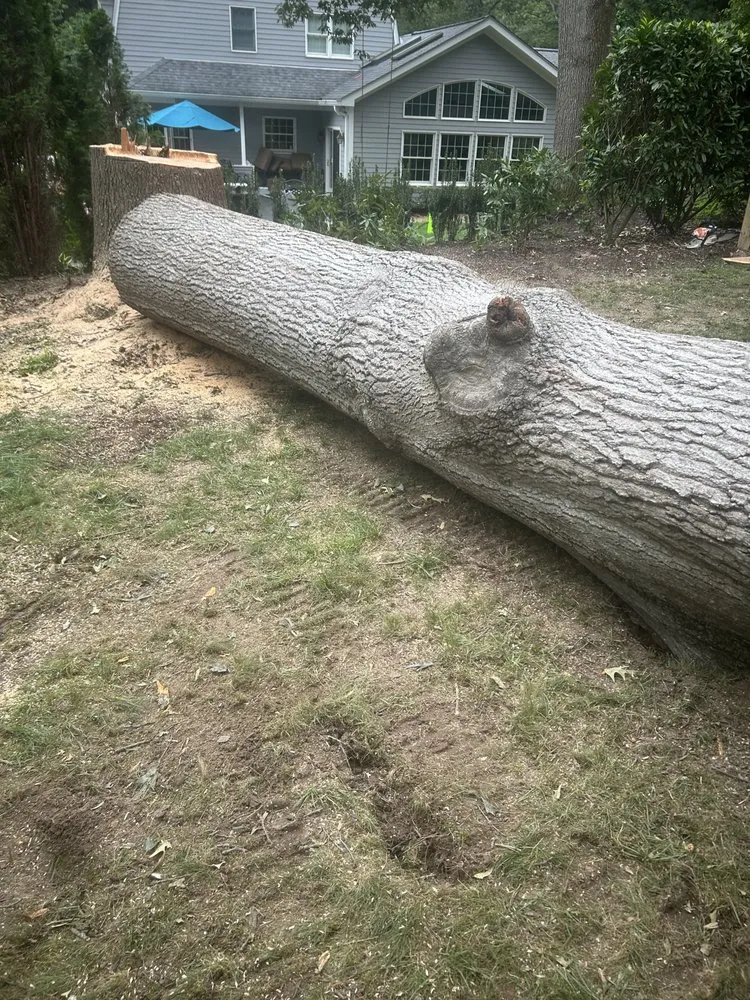 Affordable landscape installation in Annapolis, MD - JV Landscape And Tree Services