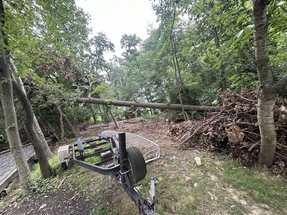 Trusted yard maintenance with custom design in Annapolis, MD by JV Landscape And Tree Services