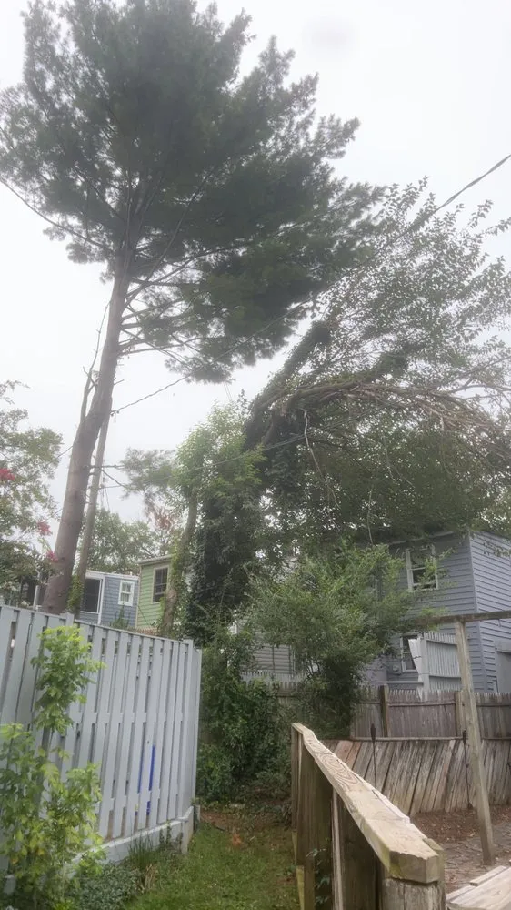 Trusted landscaping services in Annapolis, MD by JV Landscape And Tree Services