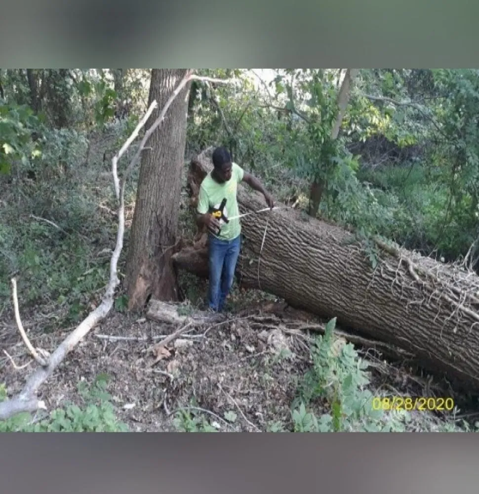 Affordable landscape design for beautiful yards across Staten Island, NY - J&V Landscape Design & Lawncare