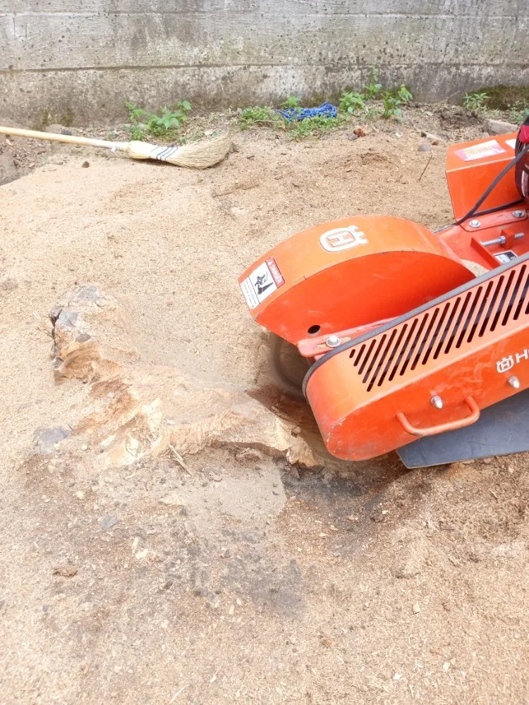 Professional garden landscaping experts serving Staten Island, NY - J&V Landscape Design & Lawncare