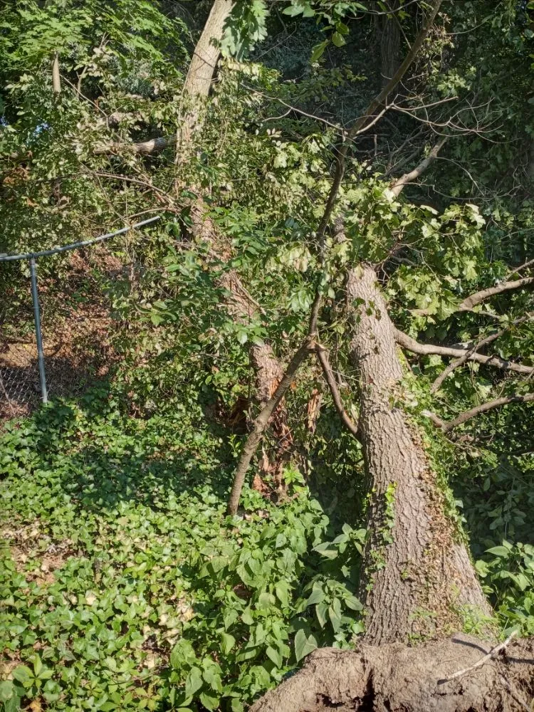 Expert residential landscaping experts serving Staten Island, NY - J&V Landscape Design & Lawncare