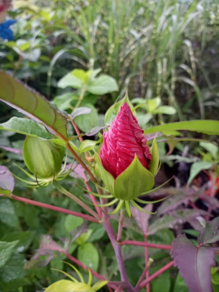 Reliable outdoor landscaping for homes in Staten Island, NY by J&V Landscape Design & Lawncare