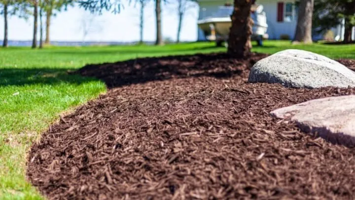 Expert landscape design experts serving Nashville, TN - JV Landscape