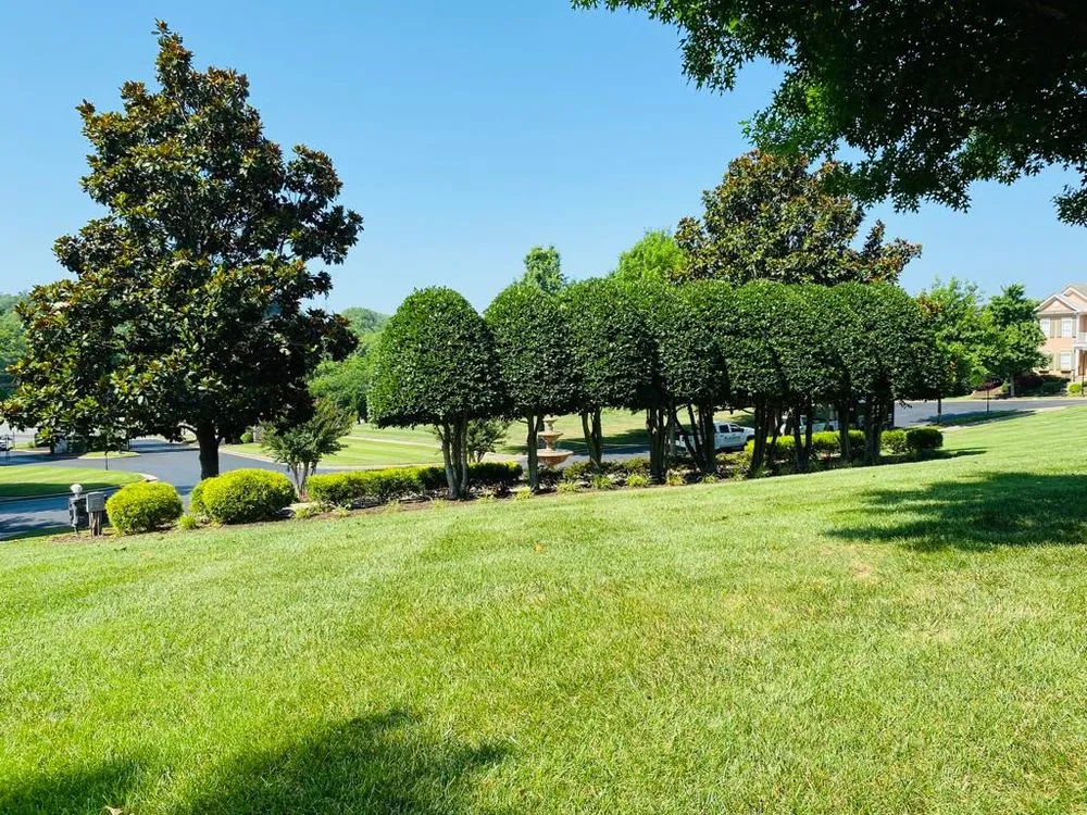 Trusted outdoor landscaping experts serving Nashville, TN - JV Landscape