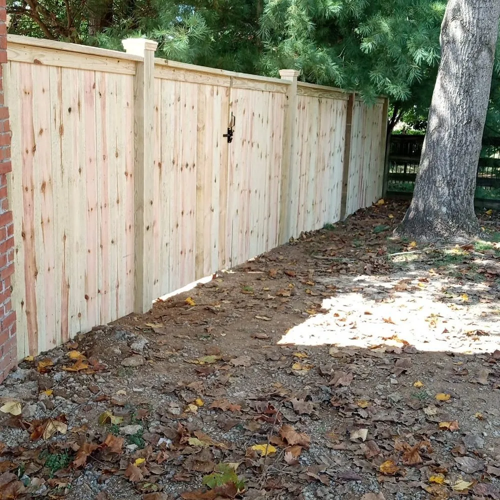 Trusted yard cleanup service experts serving Nashville, TN - JV Landscape