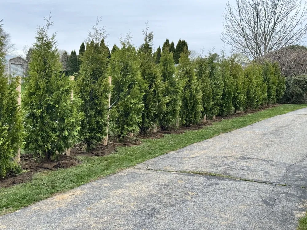 Professional residential landscaping in Providence, RI - J&V Landscape