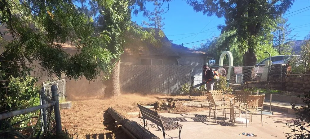 Affordable lawn care service in Simi Valley, CA by JV Landscape