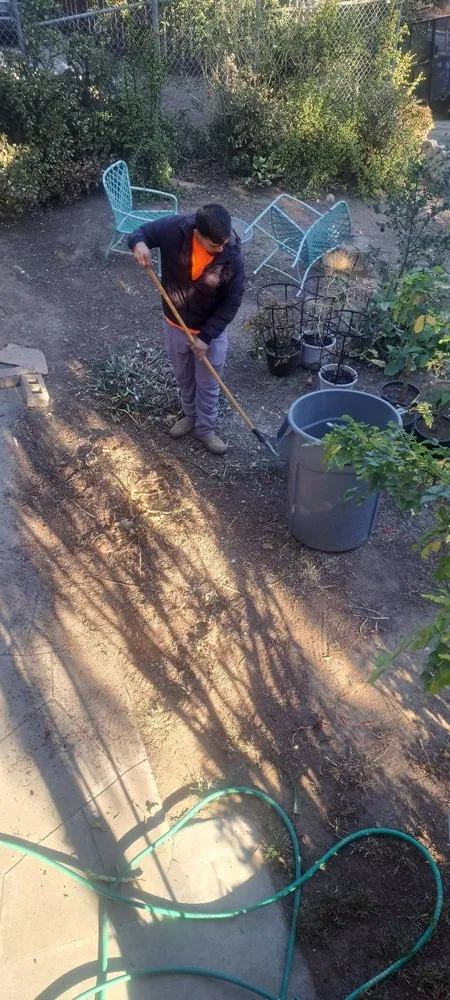 Affordable residential landscaping near you in Simi Valley, CA by JV Landscape