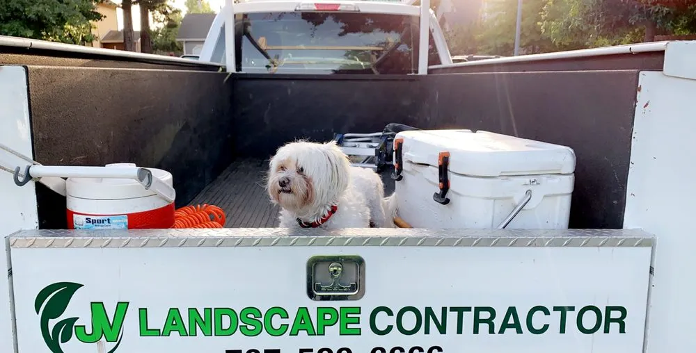 Local lawn care service in Windsor, CA by JV Landscape