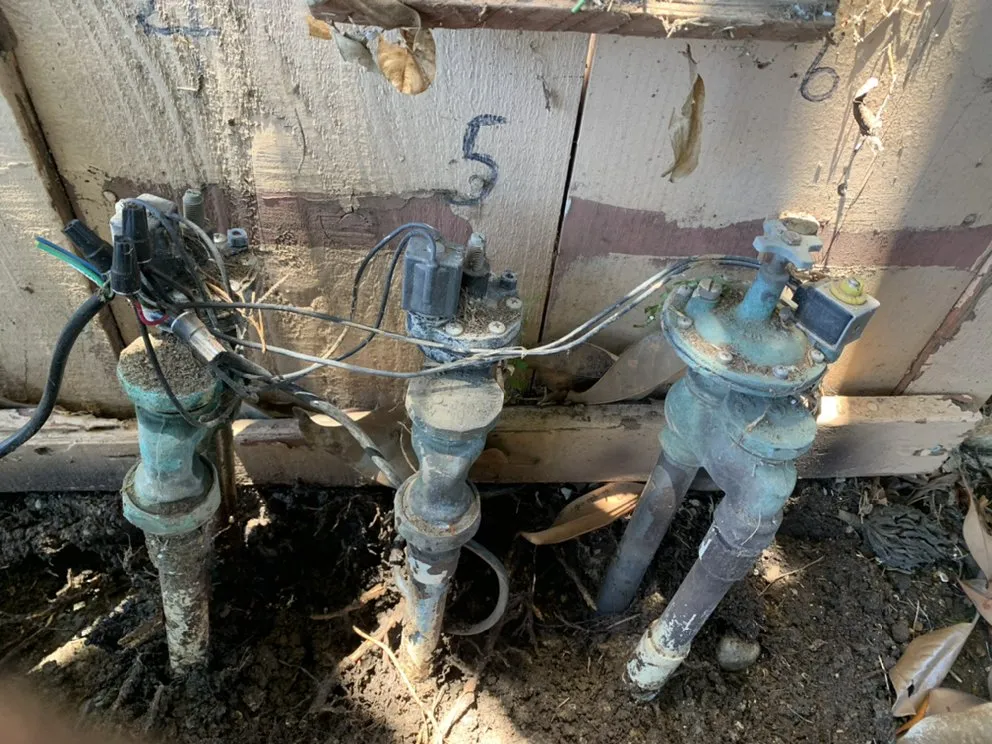 Custom yard cleanup service experts serving Chula Vista, CA - JV Landscaping & Maintenance