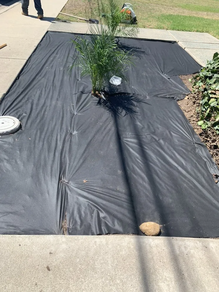 Reliable lawn mowing service for year-round maintenance across Chula Vista, CA - JV Landscaping & Maintenance