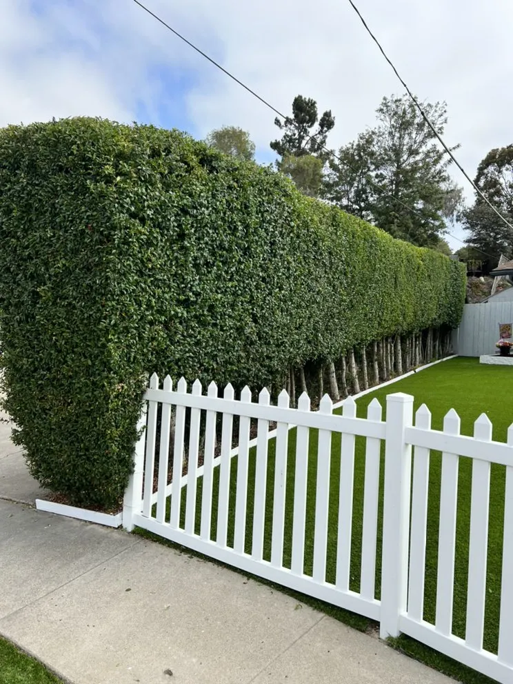 Reliable residential landscaping for beautiful yards in Chula Vista, CA by JV Landscaping & Maintenance