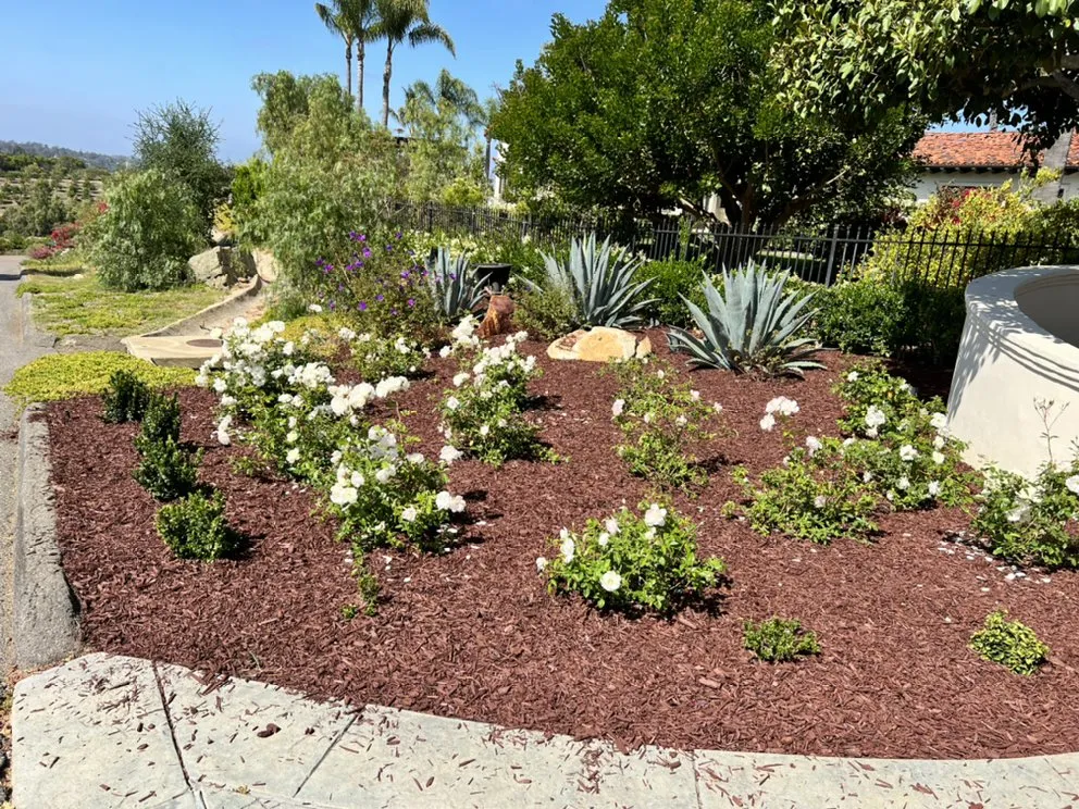 Custom landscape installation in Chula Vista, CA by JV Landscaping & Maintenance