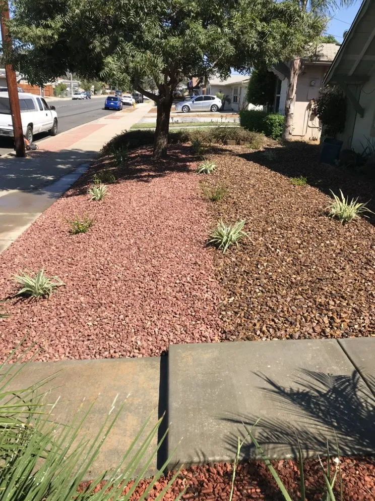 Reliable lawn mowing service for year-round maintenance across Chula Vista, CA - JV Landscaping & Maintenance