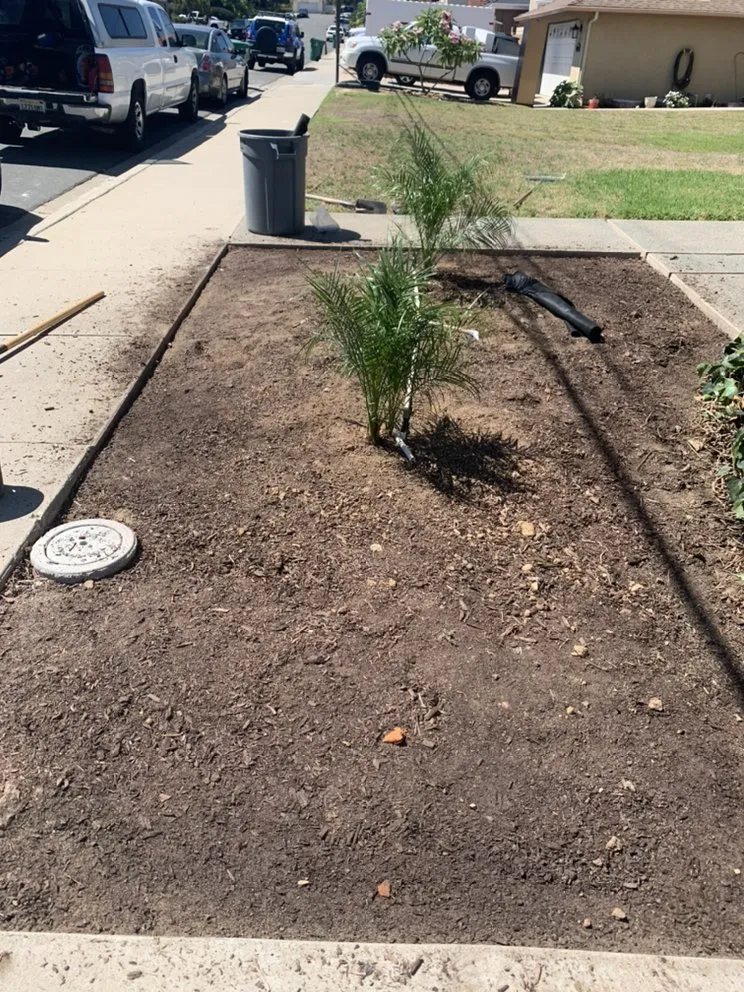 Custom residential landscaping in Chula Vista, CA - JV Landscaping & Maintenance