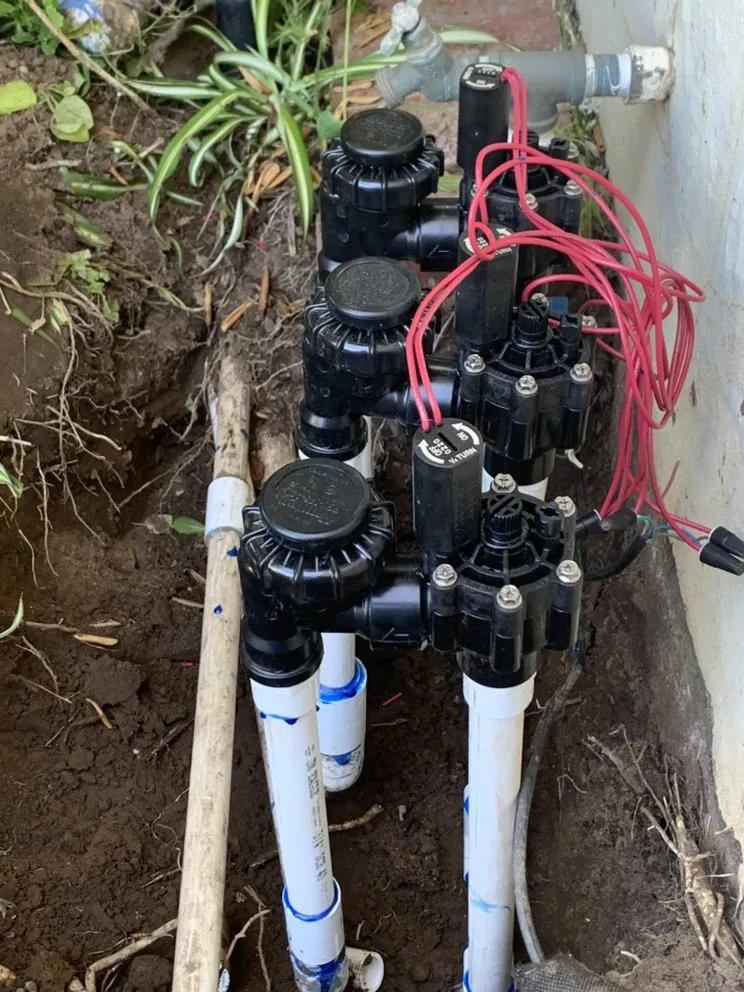 Trusted landscaping services for year-round maintenance across Chula Vista, CA - JV Landscaping & Maintenance