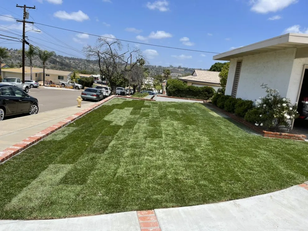 Affordable yard maintenance with custom design across Chula Vista, CA - JV Landscaping & Maintenance