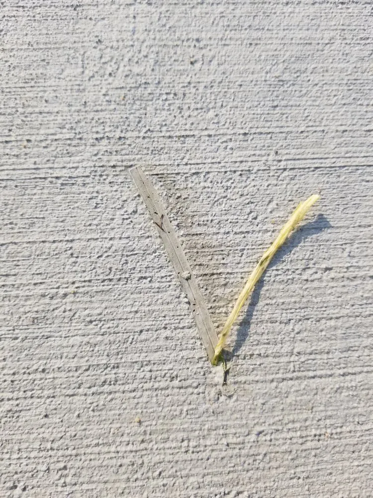 Affordable landscape installation in Berthoud, CO by Jv Landscaping