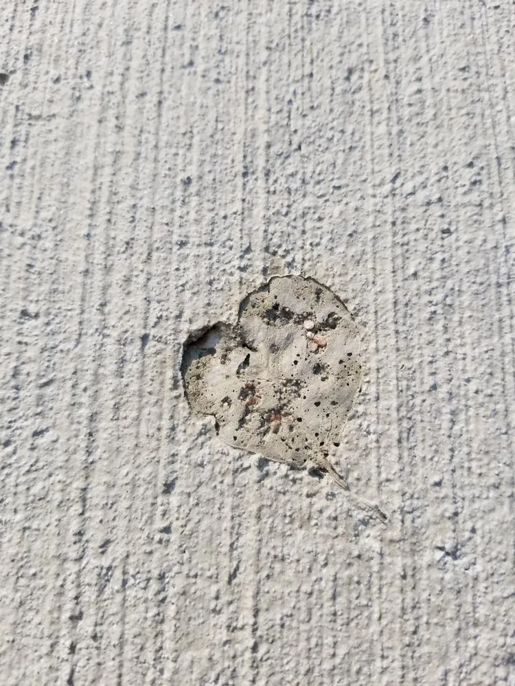 Professional yard cleanup service for beautiful yards in Berthoud, CO by Jv Landscaping