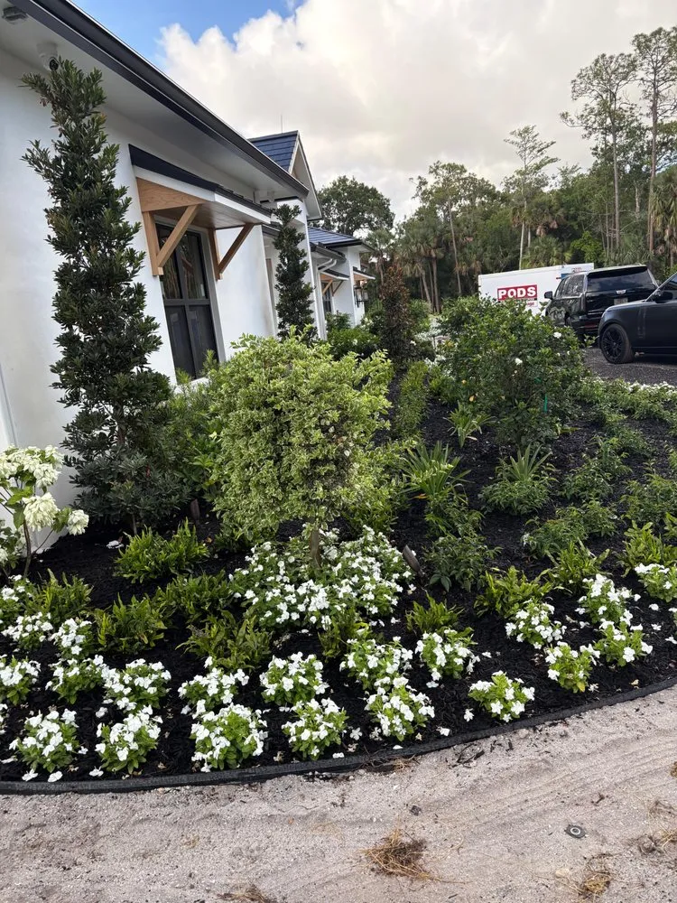 Expert landscaping services in Jupiter, FL by JV Landscaping Experts
