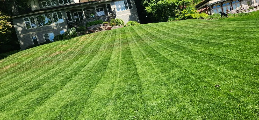 Professional residential landscaping for residential properties in Monroe, WA by Jv Landscaping