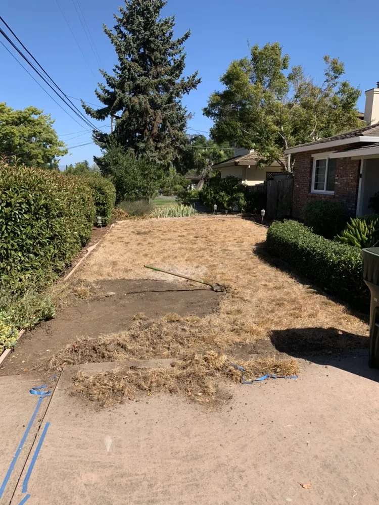 Professional yard maintenance experts serving Redwood City, CA - JV Landscaping