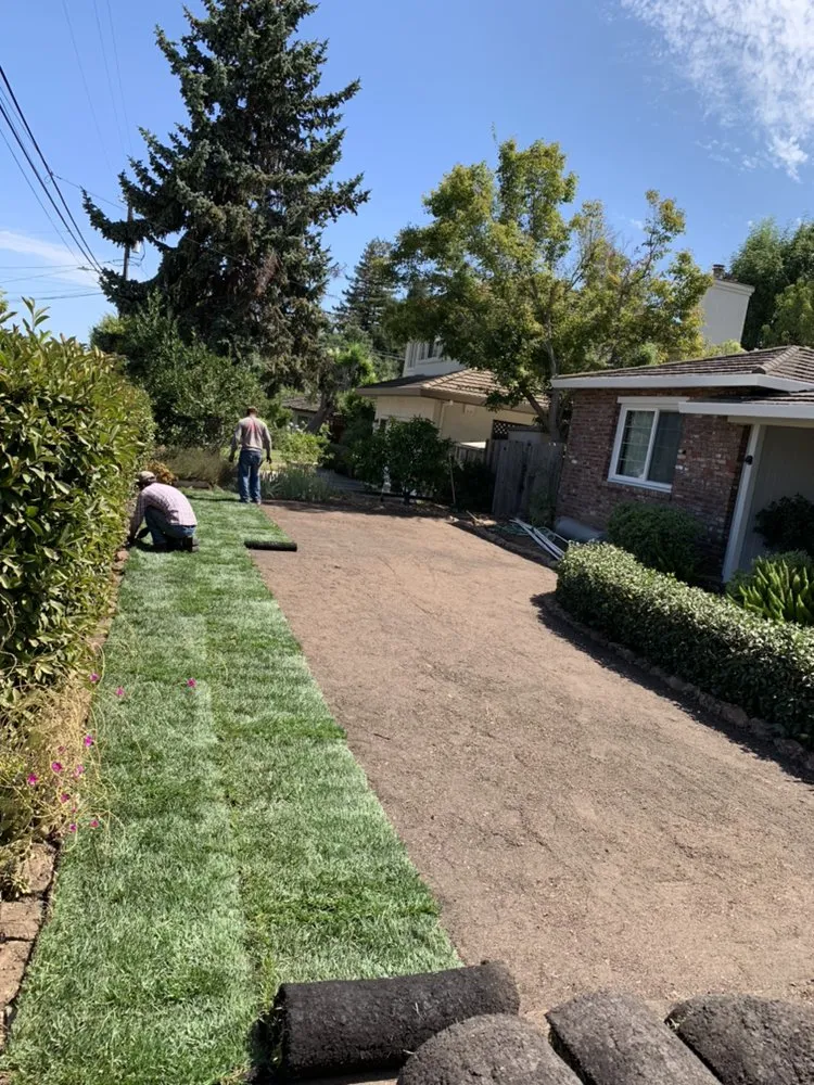 Professional yard cleanup service experts serving Redwood City, CA - JV Landscaping