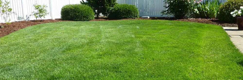 Professional outdoor landscaping in Redwood City, CA - JV Landscaping