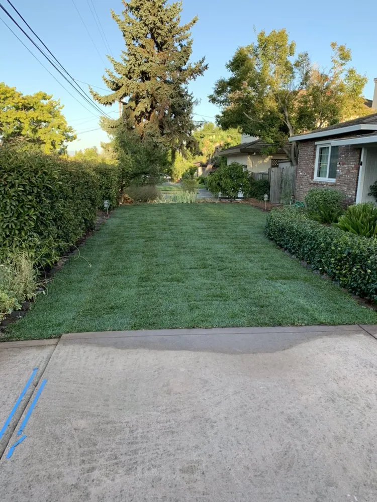 Reliable lawn mowing service in Redwood City, CA by JV Landscaping
