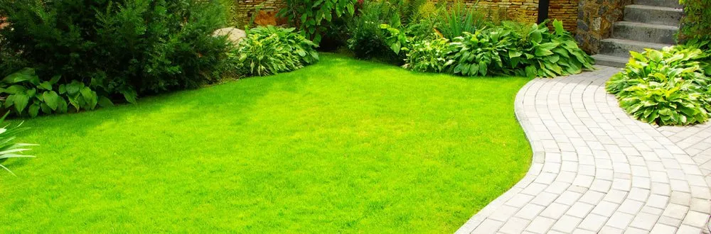 Professional landscaping services in Redwood City, CA - JV Landscaping