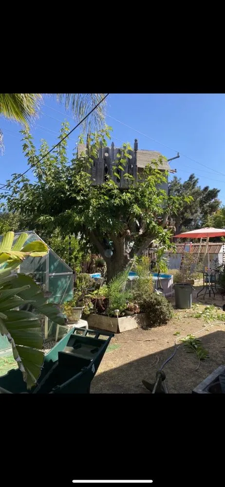 Professional yard cleanup service for homes across San Jose, CA - JV Landscaping