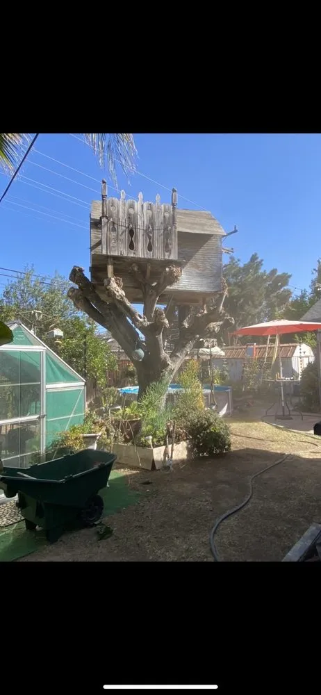 Expert landscape design for outdoor upgrades across San Jose, CA - JV Landscaping