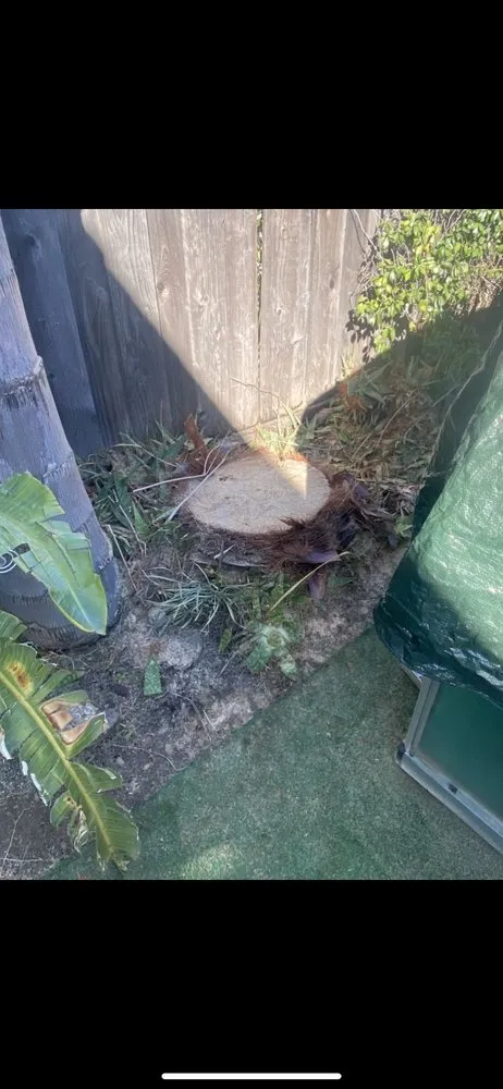 Professional yard maintenance for outdoor upgrades across San Jose, CA - JV Landscaping