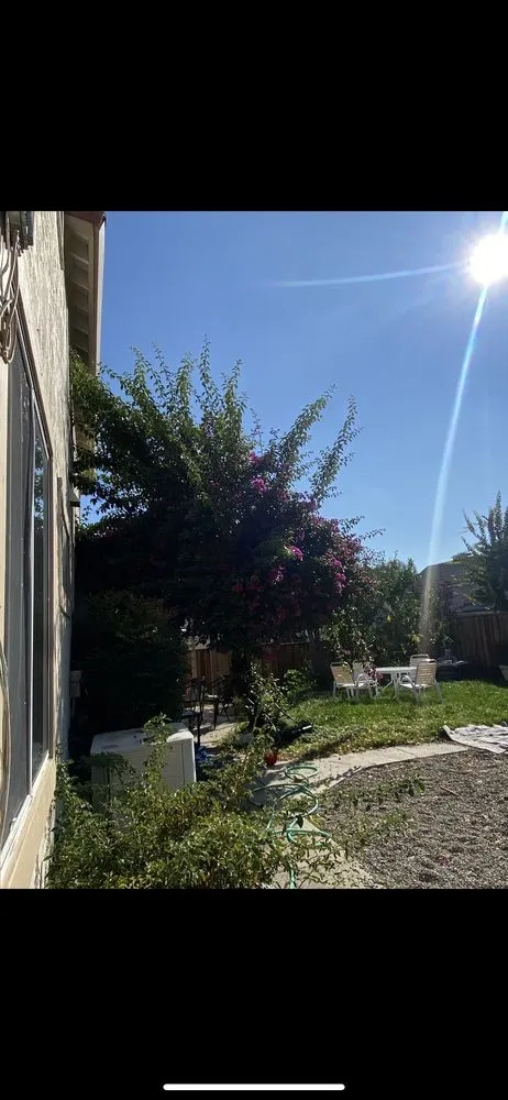 Custom landscape installation experts serving San Jose, CA - JV Landscaping