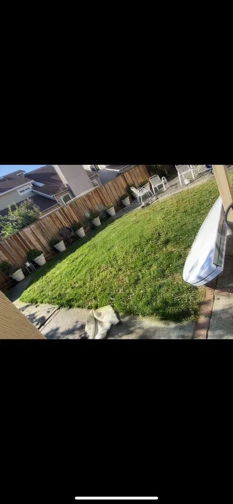 Professional landscape design for beautiful yards in San Jose, CA by JV Landscaping