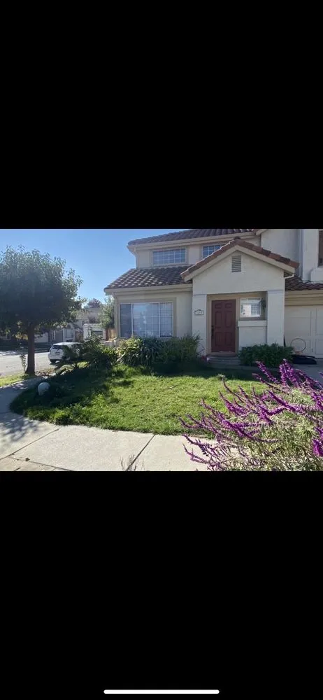 Professional lawn mowing service in San Jose, CA by JV Landscaping