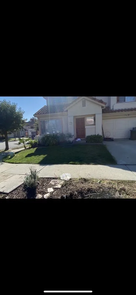 Trusted landscape design for beautiful yards across San Jose, CA - JV Landscaping