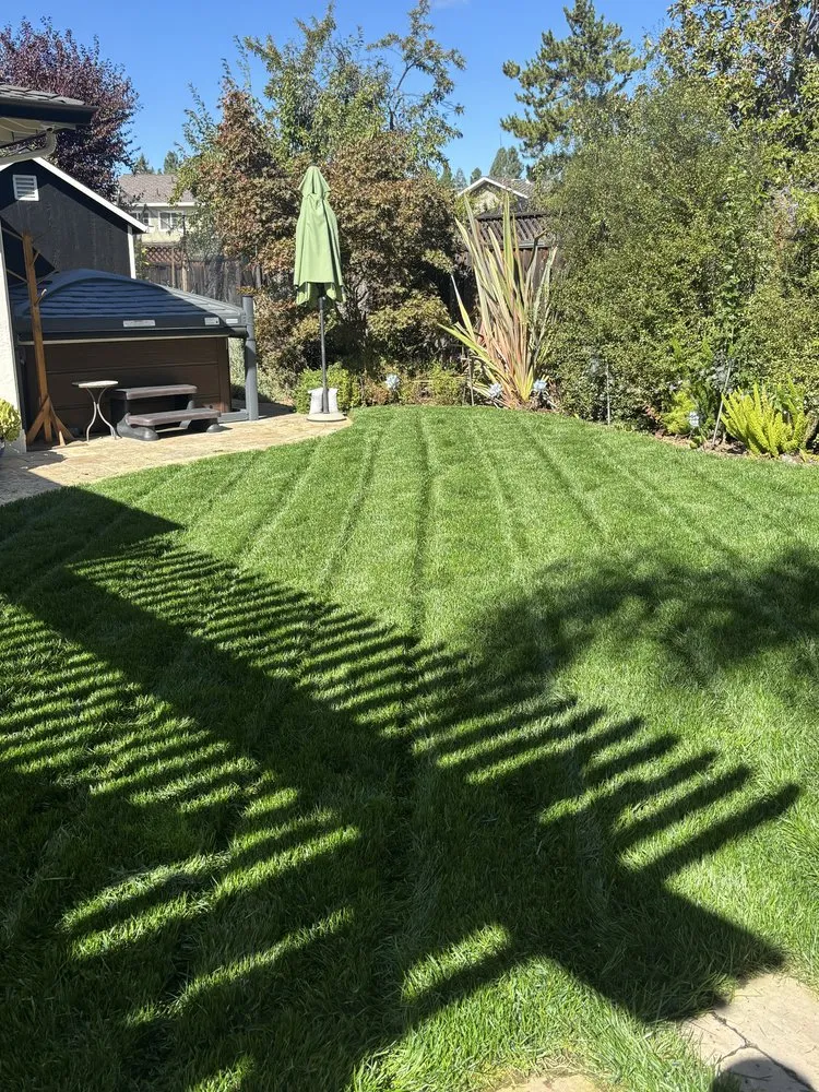 Custom landscaping services in San Jose, CA by JV Landscaping