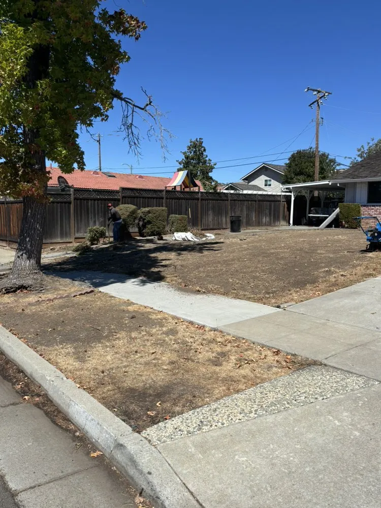 Trusted landscaping services in San Jose, CA by JV Landscaping