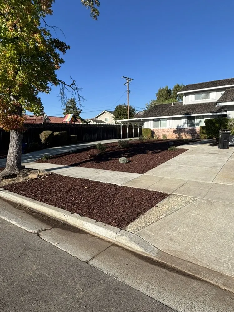 Affordable garden landscaping in San Jose, CA by JV Landscaping