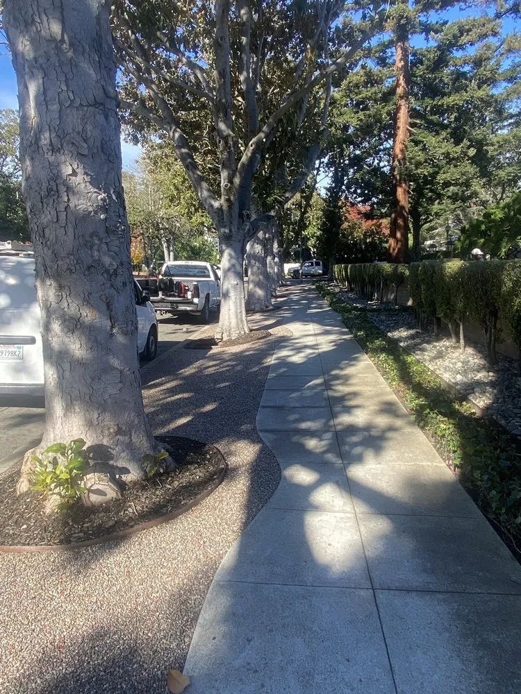 Top-rated residential landscaping in San Jose, CA by JV Landscaping