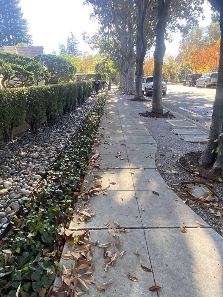 Expert yard maintenance for outdoor upgrades in San Jose, CA by JV Landscaping