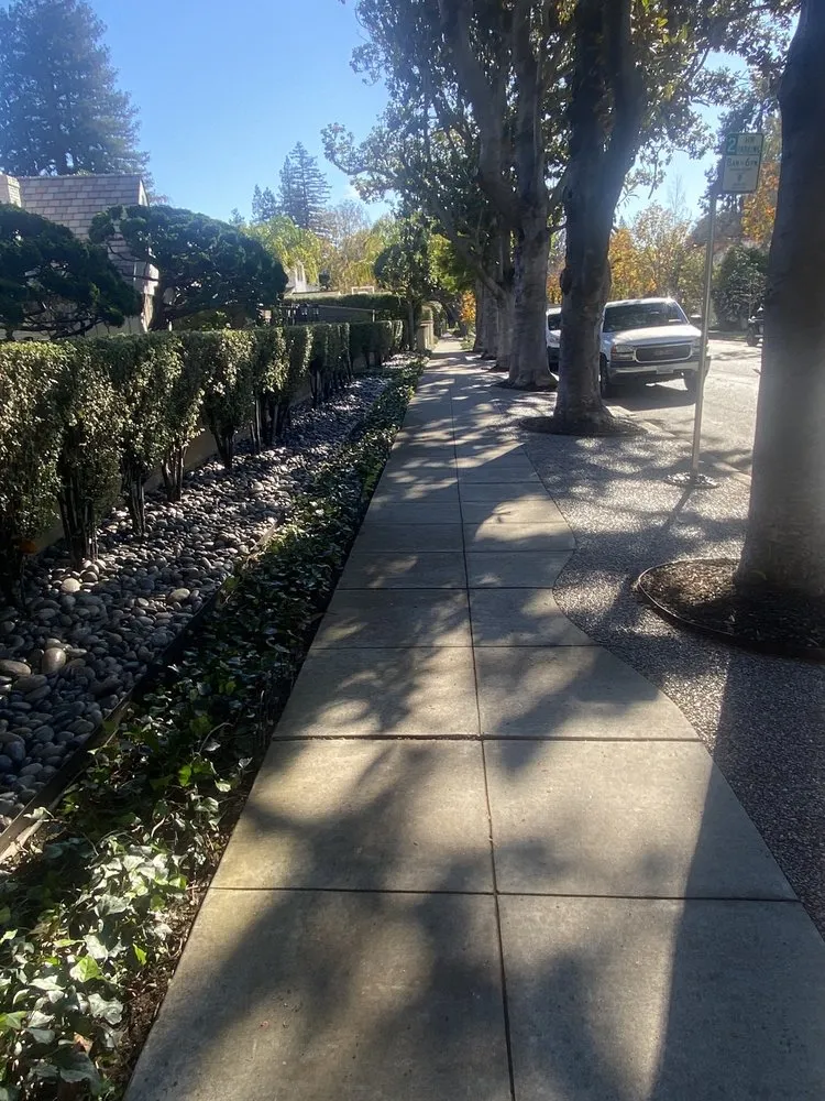 Affordable lawn care service for year-round maintenance across San Jose, CA - JV Landscaping