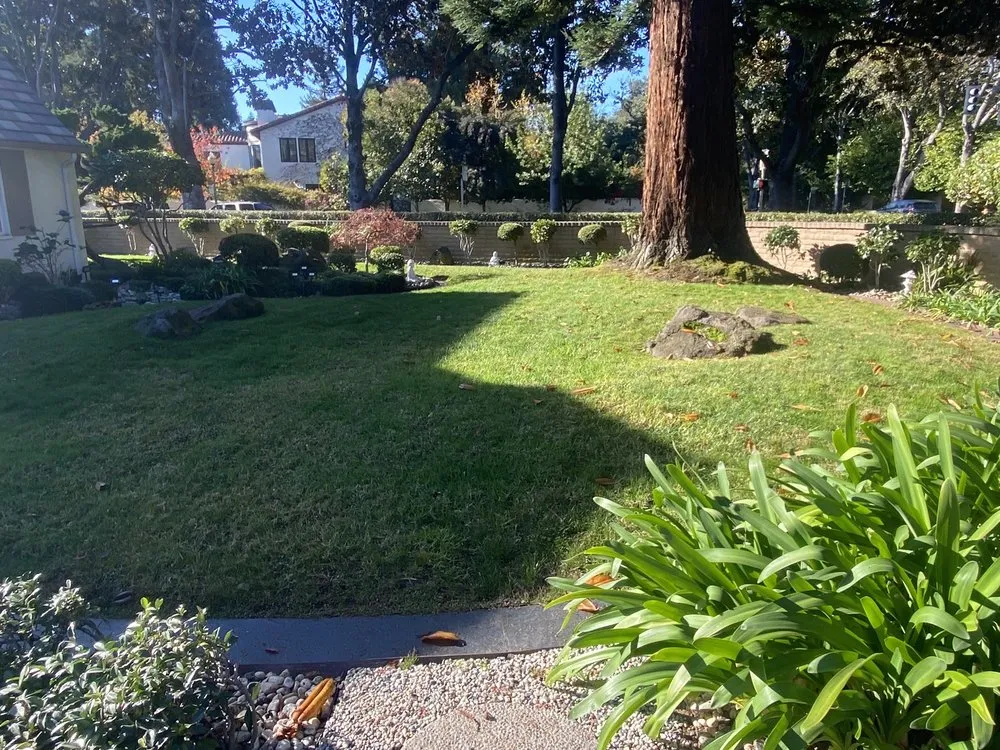 Expert yard maintenance for beautiful yards in San Jose, CA by JV Landscaping