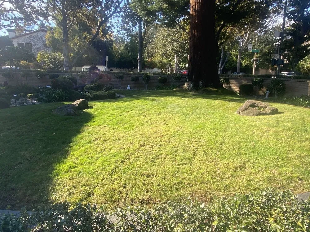 Professional garden landscaping in San Jose, CA by JV Landscaping