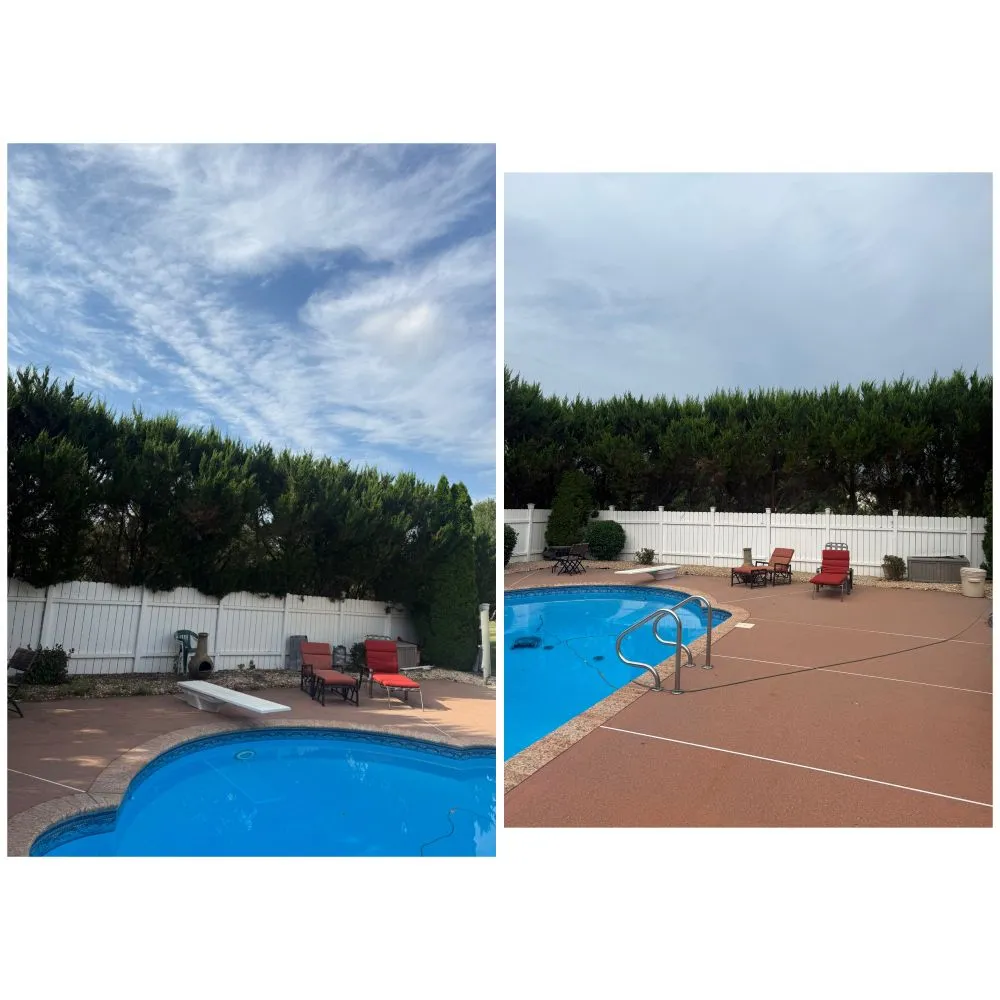 Custom yard cleanup service near you in Middletown, NY by JV LAROSE