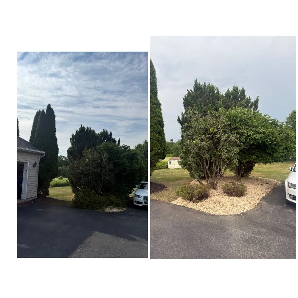 Expert landscape installation for beautiful yards across Middletown, NY - JV LAROSE